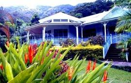 Nutmeg Grove - Tourism Cairns