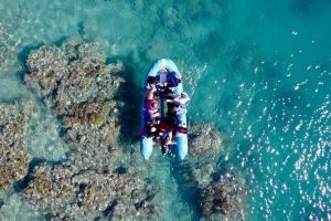 Glass-bottom boat tour with Whitehaven Beach - Tourism Cairns