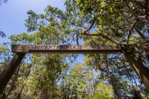 Bribie Island Bicentennial Trails - Tourism Cairns